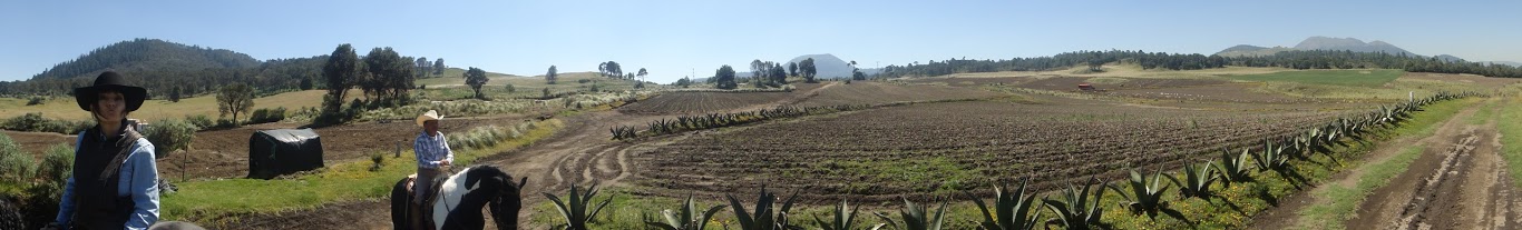 Escape to Ajusco