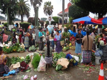 Bohemian Coyoacán